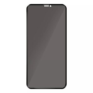 Folie Sticla Pentru iPhone 11 Pro Max / XS Max Privacy Neagra
