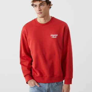 Crew Neck Printed Men's Thick Sweatshirt
